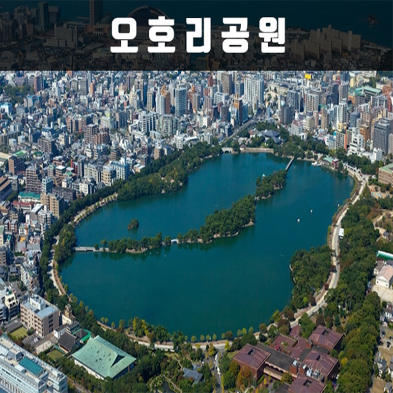 CNJ-5 후쿠오카 세미 투어 3박4일(크루즈) 뉴-카멜리아