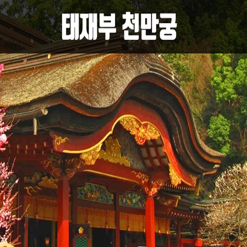 CNJ-1 후쿠오카 세미 투어 2박3일(쾌속선) 비틀