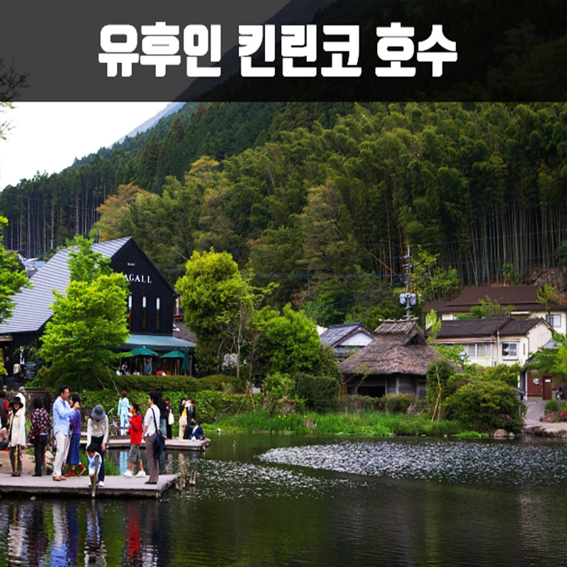 CNJ-7 북 큐슈 하이라이트 세미 투어 3박4일(크루즈) 뉴-카멜리아